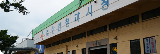 회사전경