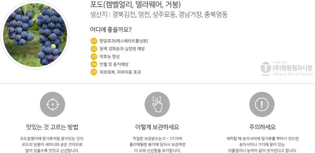 포도