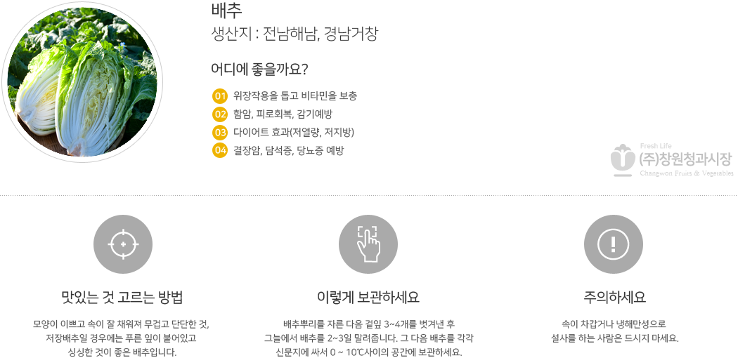 배추