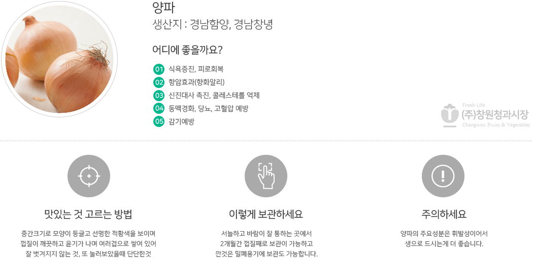 양파
